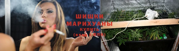 дживик Касимов
