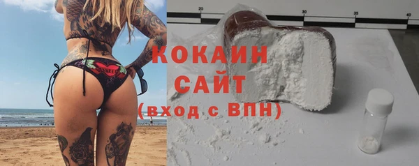дживик Касимов