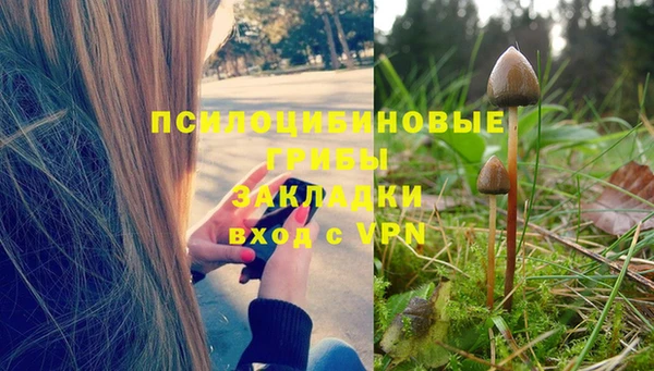 дживик Касимов